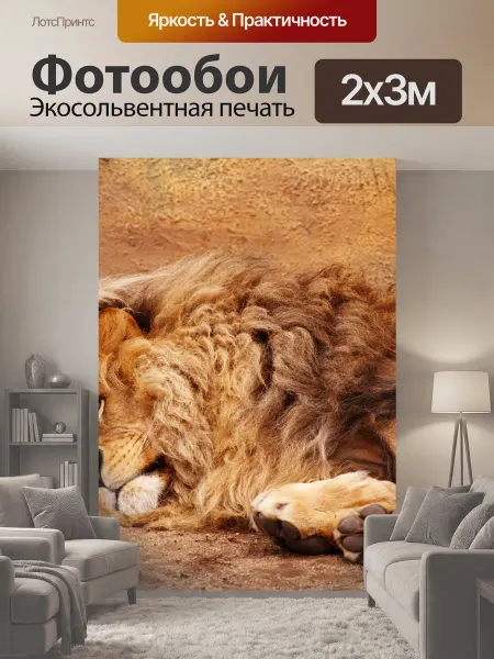 LotsPrints Фотообои "Лежащего льва большой лев на полу." 2x3м
