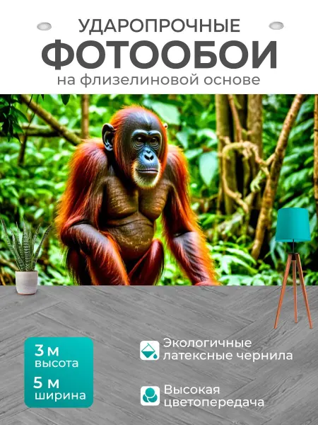 LotsPrints Фотообои "Картинки редких животных, таких как." 5x3м