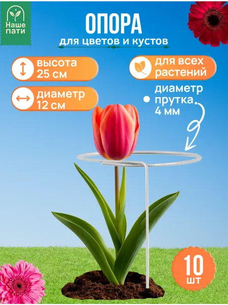 НАШЕ ПАТИ Опора для клубники, оцинкованная d-0,12м, h-0,25м (10шт)