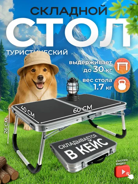 AeroLit Стол туристический складной 60х40х26 без стульев для пикника