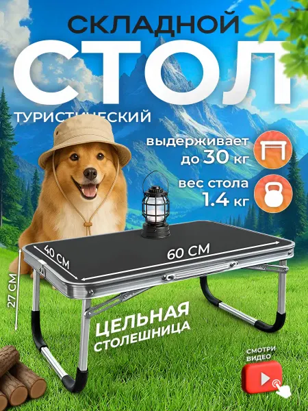 AeroLit Стол туристический складной 60х40х27 без стульев для пикника