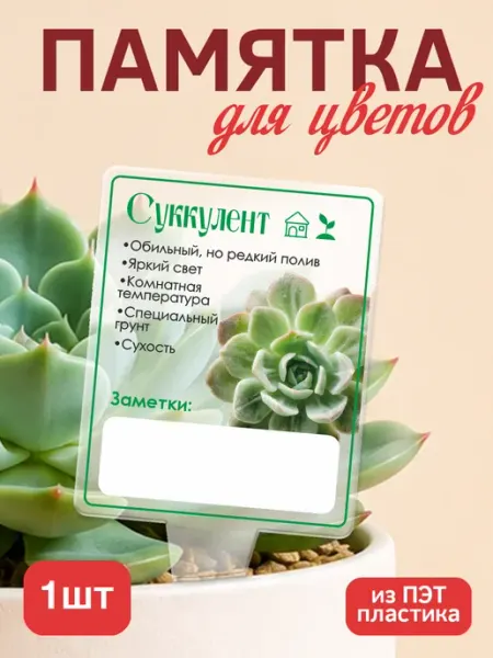 KRASNIKOVA Памятка по уходу за цветами Суккулент