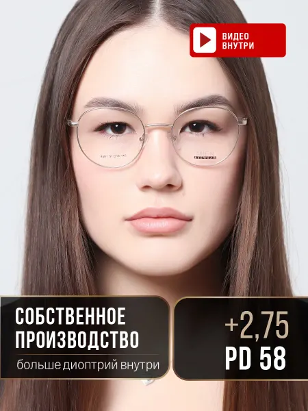 ЛинзОчки Очки для зрения корригирующие +2.75 рц 58