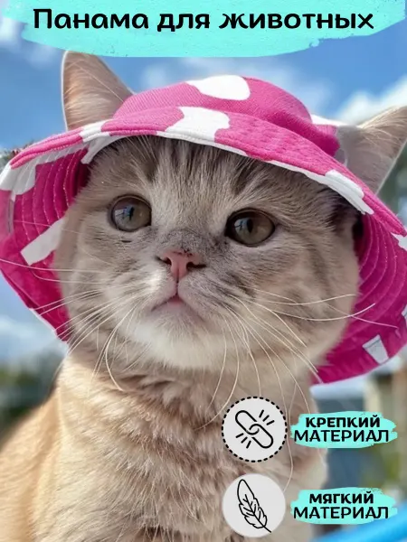 Пушистые булочки Кепка для собак и кошек