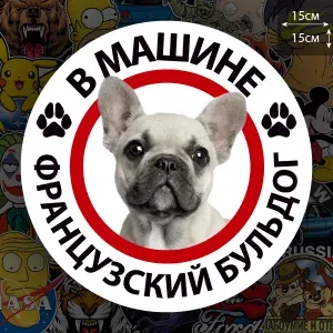 Наклейка Собака в машине / французский бульдог