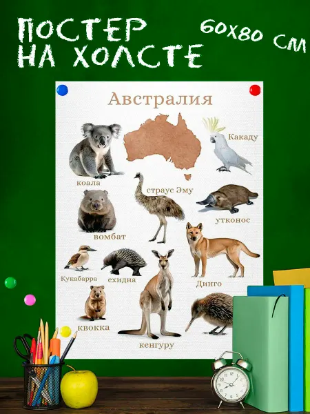 High School Обучающий плакат для школы Животные Австралии 60х80 см