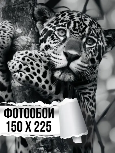 Мастерок маркет Фотообои бумажные Гепард