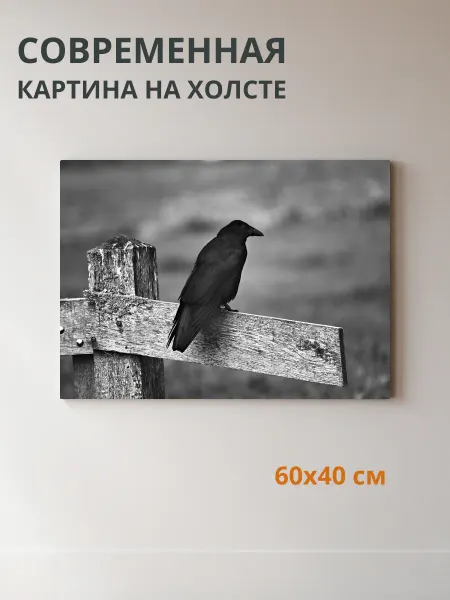 DZiVA Картина на холсте Ворона 60x40 см