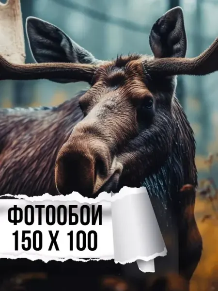 Мастерок маркет Фотообои бумажные Лось