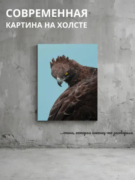 DZiVA Картина на холсте Птица 60x80 см