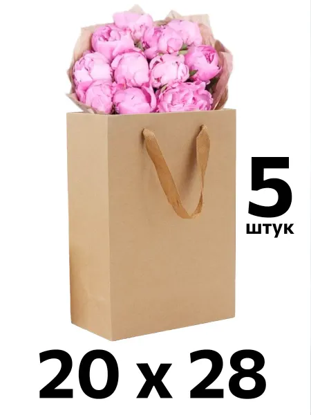 Крафт пакеты бумажные подарочные 5 штук 20х28х8 см