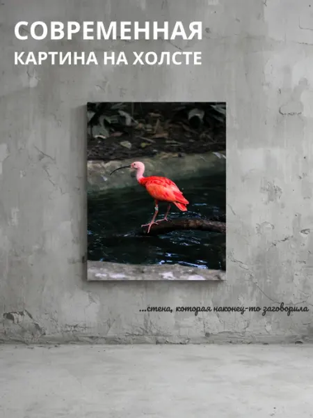 DZiVA Картина на холсте Птица 60x90 см