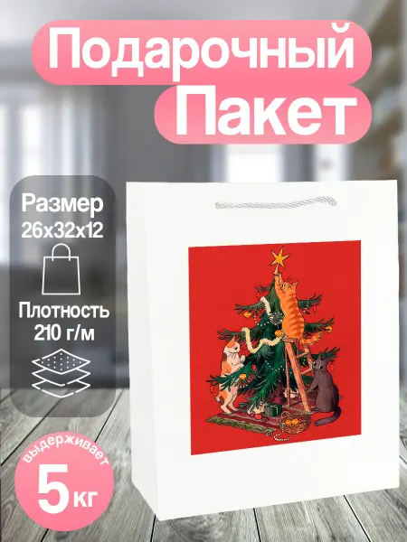 Allure Gift Пакет новогодний подарочный котики