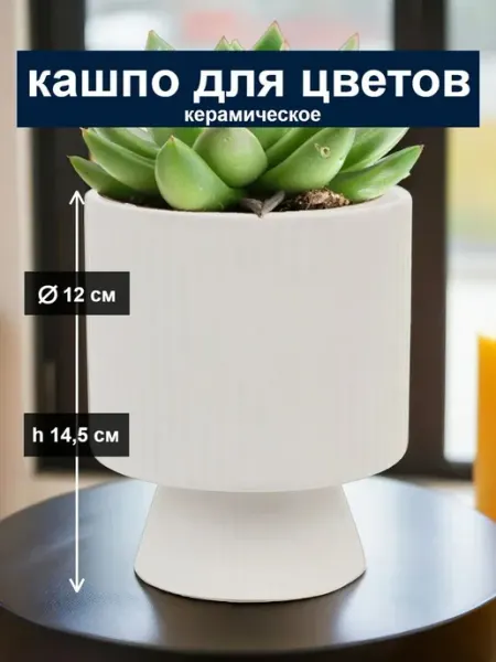 Маленькое кашпо для цветов, суккулентов, кактусов горшок