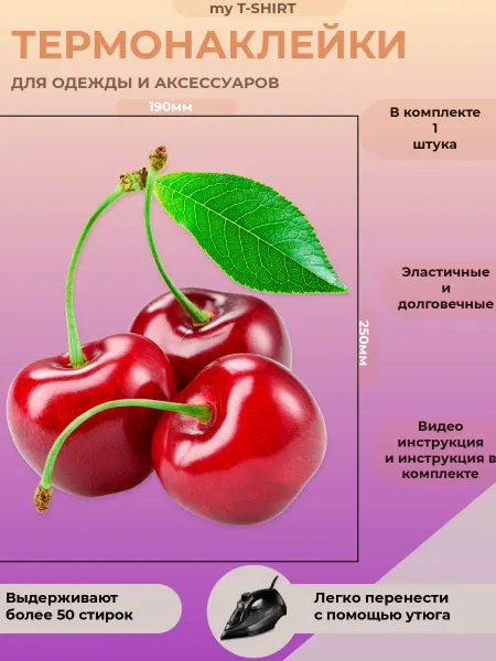 Термонаклейка для одежды