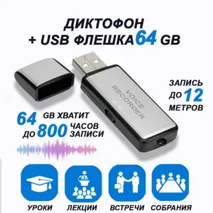 Цифровой аудио мини диктофон для записи голоса и разговоров + USB флешка 64 ГБ