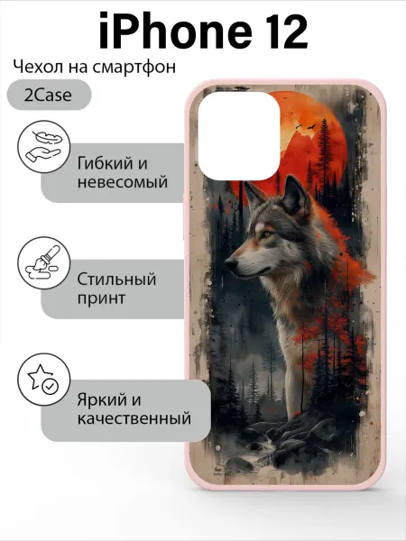 2Case Чехол с принтом iPhone 12
