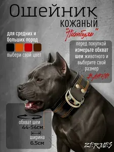 Ошейник для собак кожаный широкий Питбуль черный 65 см