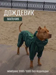 Комбинезон-дождевик для собак "Торнадо", 65 М/6XL, мужской, авокадо