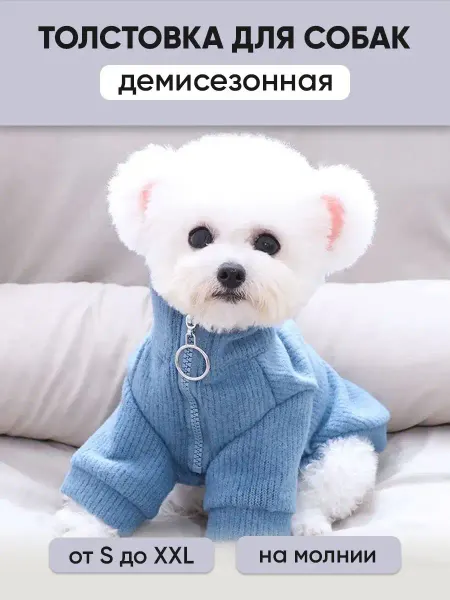Arnydog Толстовка для собак мелких пород и кошек кофта для животных