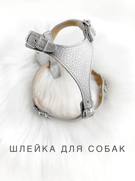 Dog collar Шлейка для собак маленьких пород