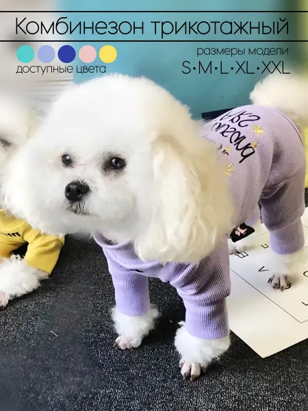 HoneyPet Одежда для собак, комбинезон