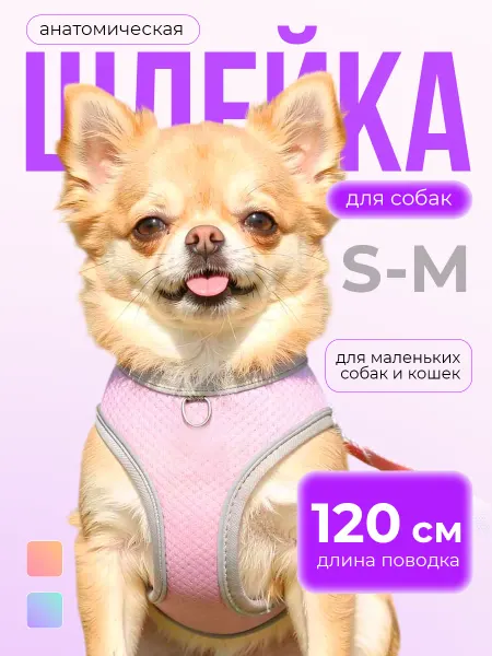 RABICK PETS Шлейка для собак и кошек
