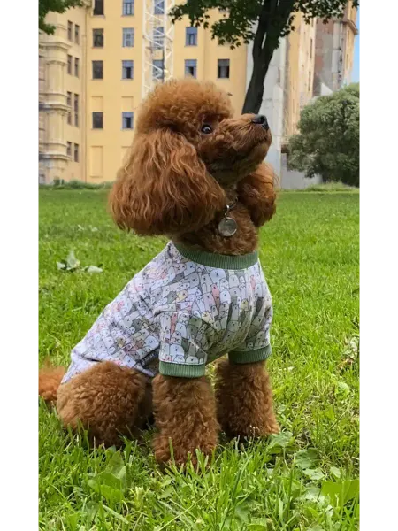 МИЛКА - Pets Свитшот для собак