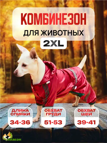Пижон Комбинезон для собак с капюшоном