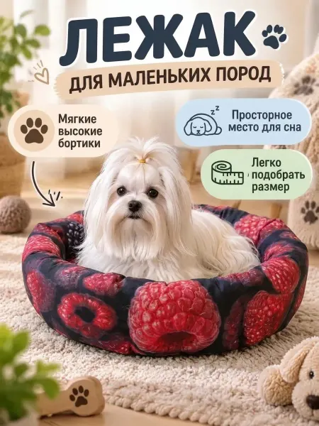 Dana lapka Лежанка