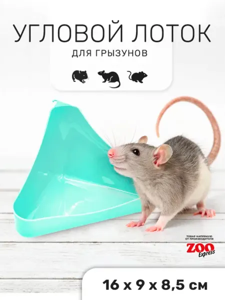 ZOOEXPRESS Угловой лоток для грызунов 16х9х8,5 см