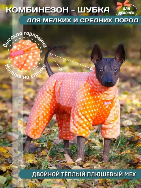 ForMyDogs Костюм-комбинезон утепленный для собак мелких пород девочки