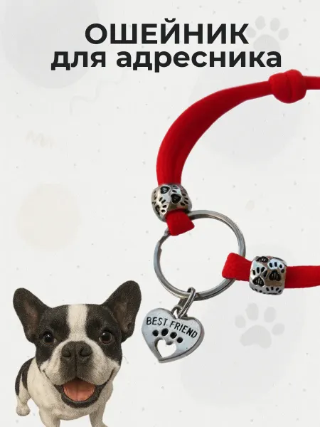 Шнурок для адресника Шнурок (ошейник) для адресника для кошек и собак