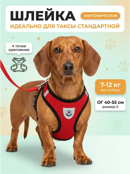 Шлейка анатомическая для Таксы стандартной