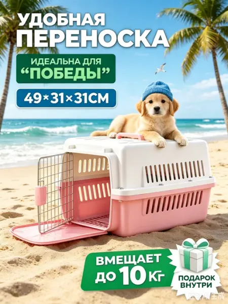 Износостойкая пластиковая переноска для регулярных перевозок