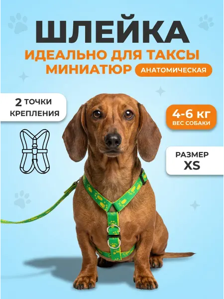 Прогулочная шлейка с поводком для таксы миниатюрной