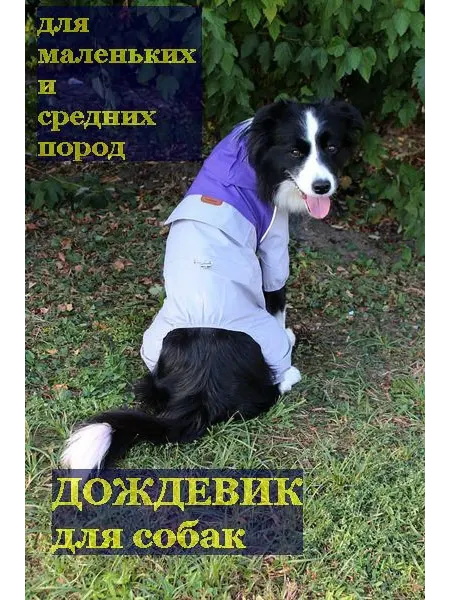 КЛАДОВАЯ Дождевик для собак