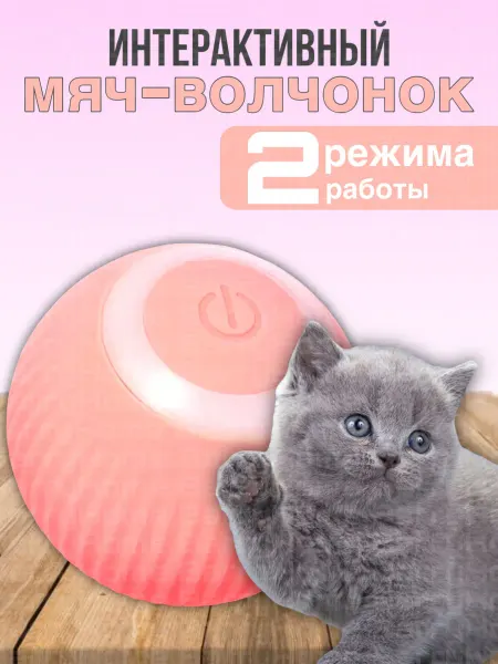 BarryHome Игрушки для кошек