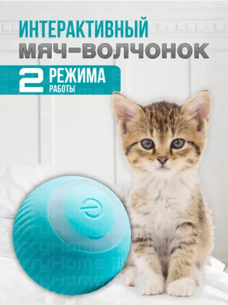 BarryHome Игрушки для кошек