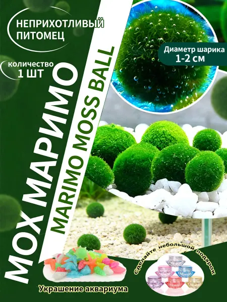 Живые водорослиНабор