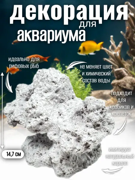 Декор для аквариума