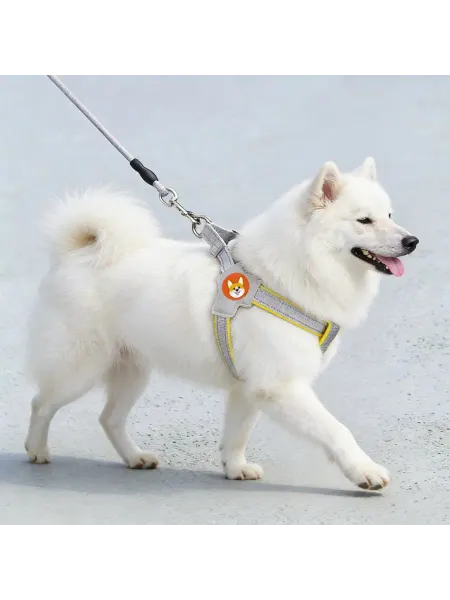 Собачий поводок