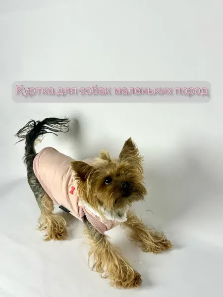 Куртка для собак