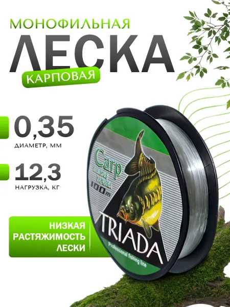 Береговая Линия Леска для фидерной рыбалки 0.35мм 12.3кг Carp Strong Master