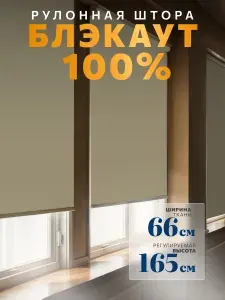 WiCor Рулонные шторы 66х165 см бежевый