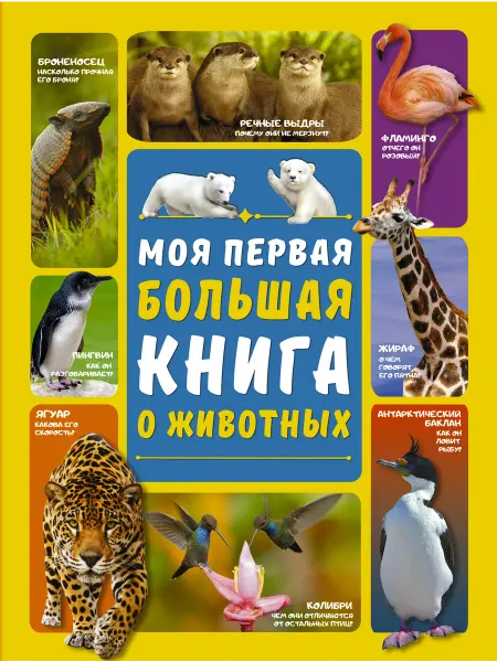 Издательство АСТ Моя первая большая книга о животных