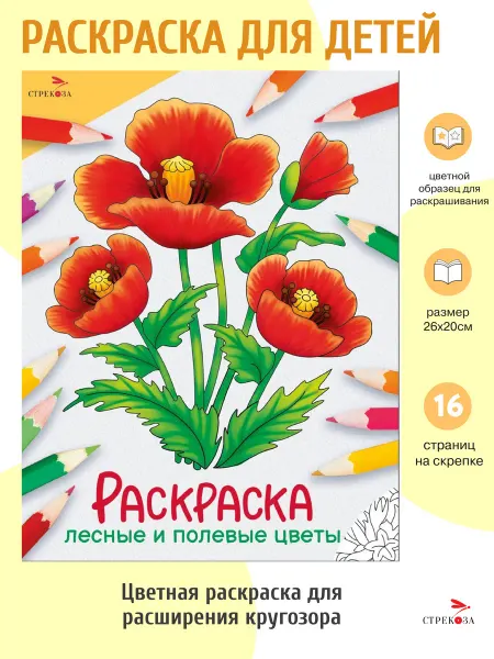 Издательство Стрекоза Лесные и полевые цветы. Раскраска. Окружающий мир