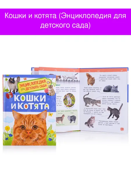 Кошки и котята (Энциклопедия для детского сада)