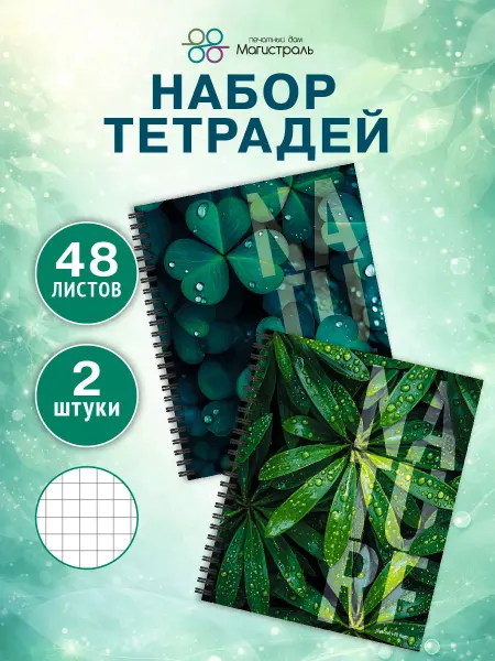 ООО "Печатный дом "Магистраль" Тетрадь 48 листов в клетку на пружине 2 штуки
