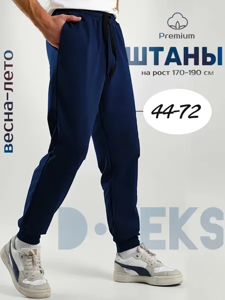 DTeksБрюки спортивные